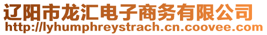 遼陽市龍匯電子商務有限公司