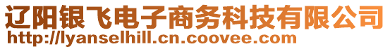 遼陽(yáng)銀飛電子商務(wù)科技有限公司