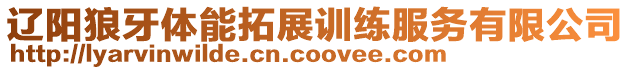 遼陽狼牙體能拓展訓練服務有限公司