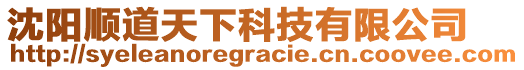 沈陽(yáng)順道天下科技有限公司