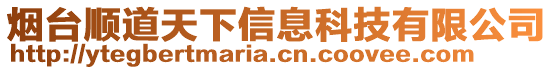 煙臺順道天下信息科技有限公司