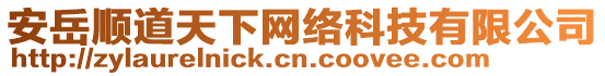 安岳順道天下網(wǎng)絡(luò)科技有限公司