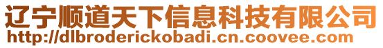 遼寧順道天下信息科技有限公司