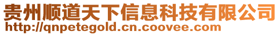 貴州順道天下信息科技有限公司