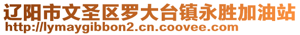 遼陽市文圣區(qū)羅大臺(tái)鎮(zhèn)永勝加油站