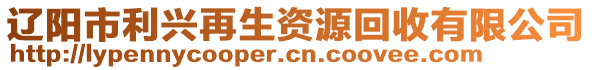 遼陽市利興再生資源回收有限公司