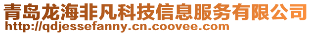 青島龍海非凡科技信息服務(wù)有限公司