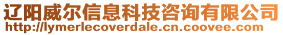 遼陽(yáng)威爾信息科技咨詢有限公司