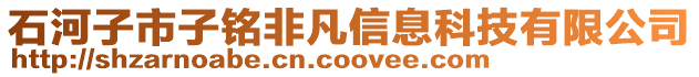 石河子市子銘非凡信息科技有限公司