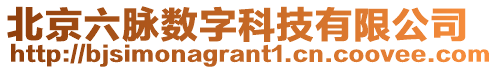 北京六脈數字科技有限公司