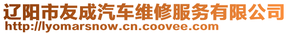 遼陽市友成汽車維修服務(wù)有限公司