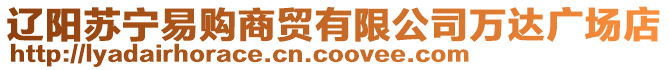 遼陽蘇寧易購商貿有限公司萬達廣場店