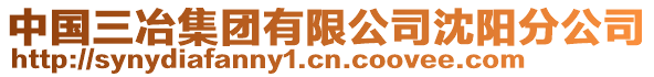 中国三冶集团有限公司沈阳分公司