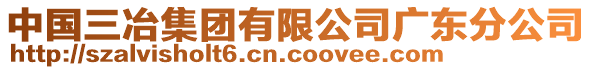 中國(guó)三冶集團(tuán)有限公司廣東分公司