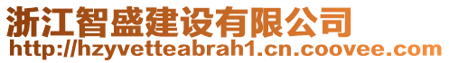 浙江智盛建設(shè)有限公司