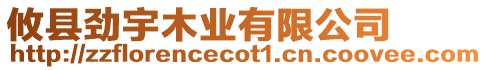 攸縣勁宇木業(yè)有限公司