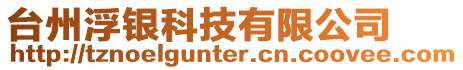 臺州浮銀科技有限公司