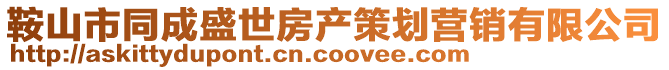 鞍山市同成盛世房产策划营销有限公司