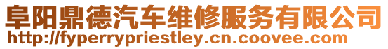 阜陽鼎德汽車維修服務有限公司