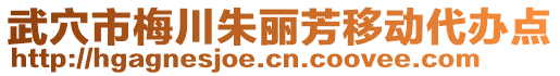 武穴市梅川朱麗芳移動(dòng)代辦點(diǎn)