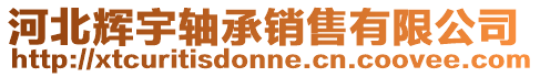 河北輝宇軸承銷售有限公司