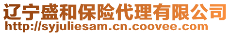 遼寧盛和保險代理有限公司