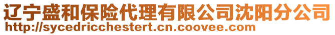 遼寧盛和保險代理有限公司沈陽分公司