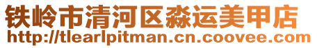 鐵嶺市清河區淼運美甲店