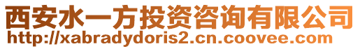 西安水一方投資咨詢有限公司