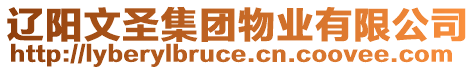 遼陽(yáng)文圣集團(tuán)物業(yè)有限公司