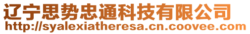 遼寧思勢忠通科技有限公司