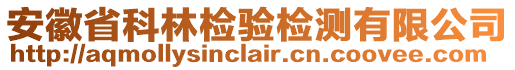 安徽省科林檢驗檢測有限公司