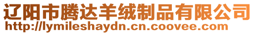 遼陽市騰達羊絨制品有限公司