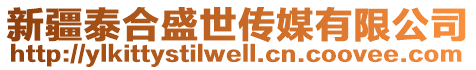 新疆泰合盛世傳媒有限公司