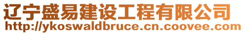 遼寧盛易建設工程有限公司