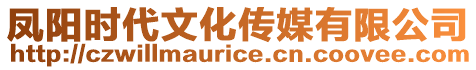 鳳陽時(shí)代文化傳媒有限公司