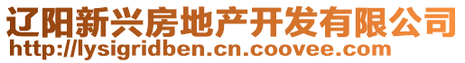 遼陽新興房地產(chǎn)開發(fā)有限公司