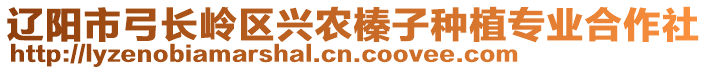 遼陽市弓長嶺區(qū)興農(nóng)榛子種植專業(yè)合作社