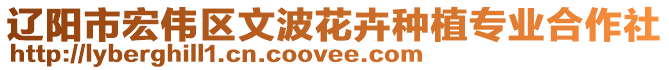 遼陽(yáng)市宏偉區(qū)文波花卉種植專業(yè)合作社