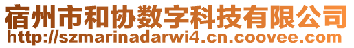 宿州市和協(xié)數(shù)字科技有限公司