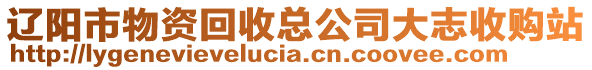 遼陽市物資回收總公司大志收購站