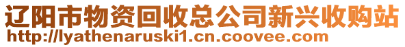 遼陽市物資回收總公司新興收購站