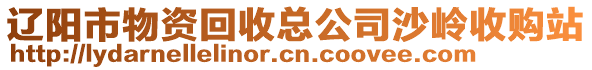 遼陽市物資回收總公司沙嶺收購站