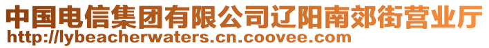 中國(guó)電信集團(tuán)有限公司遼陽(yáng)南郊街營(yíng)業(yè)廳