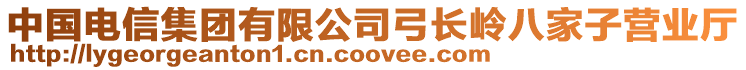 中國(guó)電信集團(tuán)有限公司弓長(zhǎng)嶺八家子營(yíng)業(yè)廳