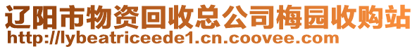 遼陽(yáng)市物資回收總公司梅園收購(gòu)站