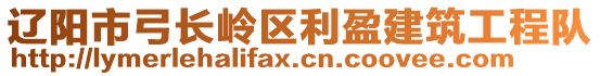 遼陽(yáng)市弓長(zhǎng)嶺區(qū)利盈建筑工程隊(duì)