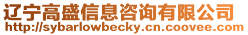 遼寧高盛信息咨詢有限公司
