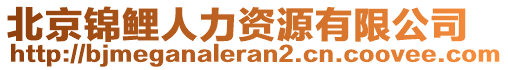 北京錦鯉人力資源有限公司