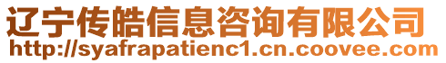 遼寧傳皓信息咨詢有限公司